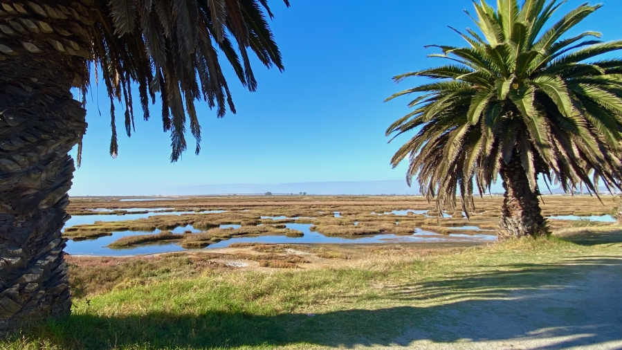 1 Bedroom Property for Sale in Velddrif Western Cape